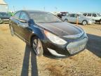 2013 HYUNDAI  SONATA