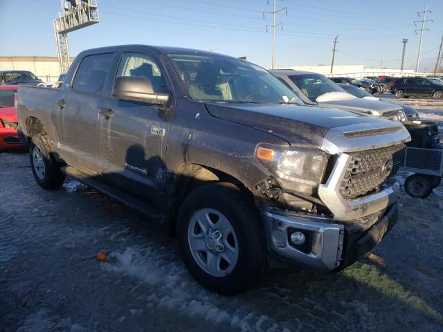 2021 TOYOTA TUNDRA CRE 5TFDY5F12MX037880