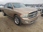 DODGE RAM 1500 2011 foto