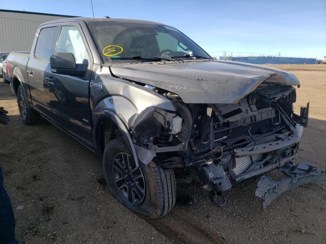 2017 FORD F150 SUPER 1FTEW1EG5HFC64744