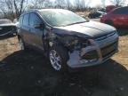 2013 FORD  ESCAPE