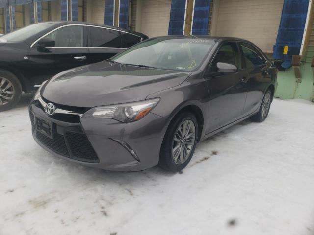 4T1BF1FK7HU377818 Toyota Camry Le 2017. Фото: 1