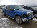 2010 FORD  F-150