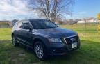 2011 AUDI  Q5