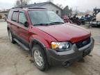 2006 FORD  ESCAPE