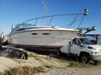 1988 SEARAY  BOAT