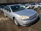 2005 CHEVROLET  MALIBU