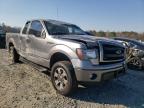 2013 FORD  F-150