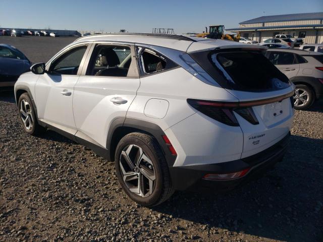 2022 HYUNDAI TUCSON SEL 5NMJF3AE5NH014207