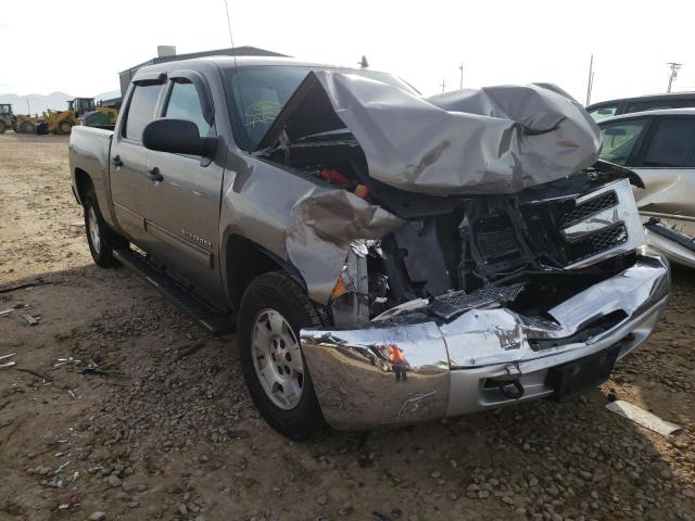 2013 CHEVROLET SILVERADO - 3GCPKSE73DG349584