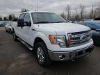 2013 FORD  F-150