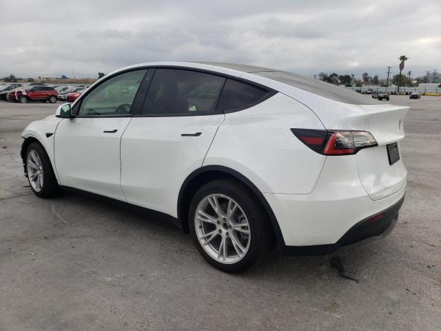 2021 TESLA MODEL Y 5YJYGDEE3MF075499