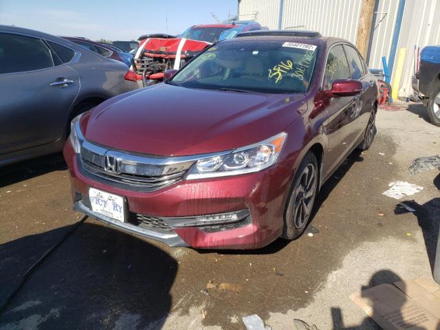 1HGCR2F94GA242333 Honda Accord Exl 2016. Фото: 1