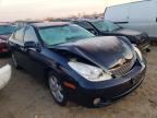 2005 LEXUS  ES330