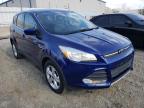 2014 FORD  ESCAPE