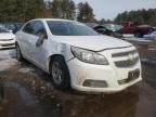 2013 CHEVROLET  MALIBU