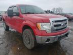 2013 FORD  F-150