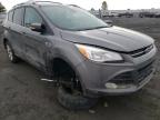 2014 FORD  ESCAPE