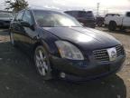 2004 NISSAN  MAXIMA