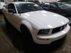 2006 FORD  MUSTANG