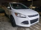 2014 FORD  ESCAPE