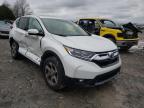 2019 HONDA  CRV