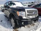 2010 FORD  F-150