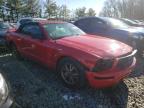 2005 FORD  MUSTANG