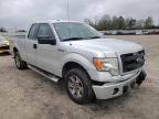 2013 FORD  F-150