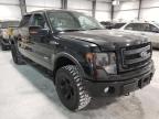 2013 FORD  F-150