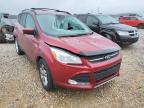 2014 FORD  ESCAPE