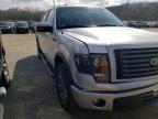 2011 FORD  F-150