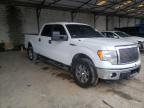 2011 FORD  F-150