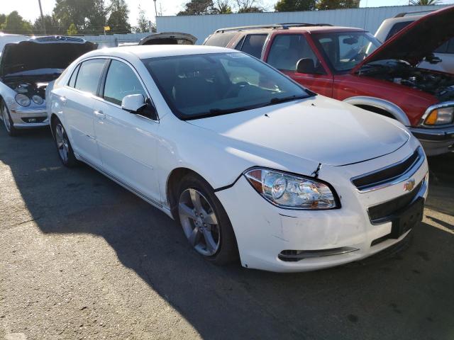 2011 CHEVROLET MALIBU 1LT - 1G1ZC5E10BF141575