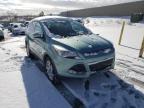 2013 FORD  ESCAPE