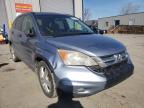 2010 HONDA  CRV