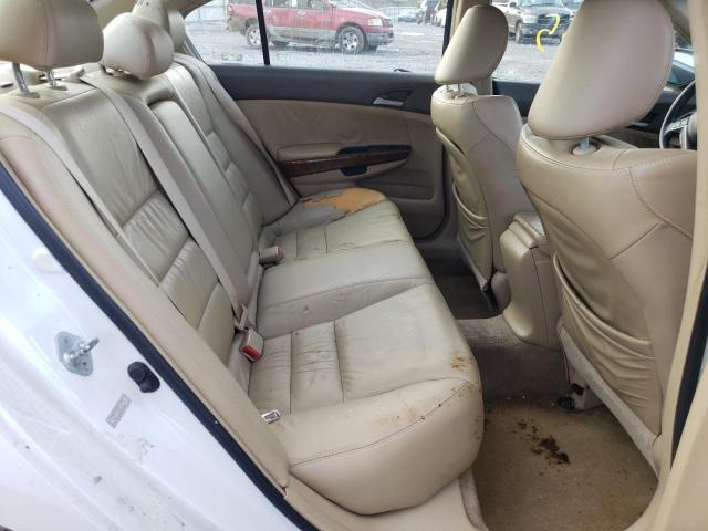 1HGCP36858A066574 Honda Accord Exl 2008. Фото: 5