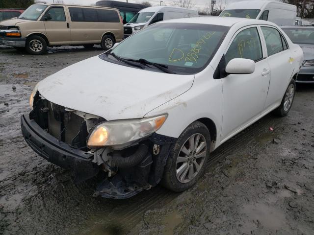 2010 TOYOTA COROLLA BA - 2T1BU4EE5AC194556