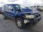 2007 FORD  ESCAPE