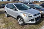 2014 FORD  ESCAPE