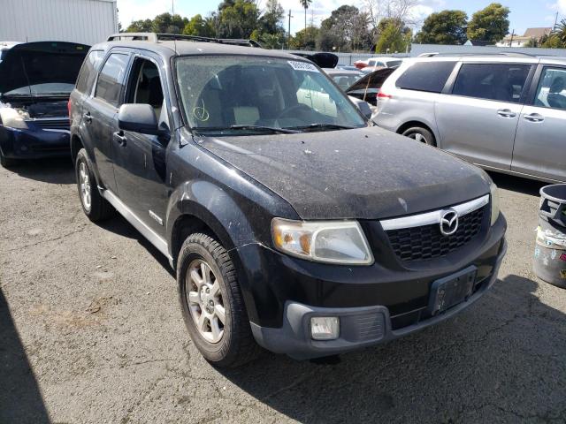 Трибьют 2008. Мазда трибут 2008. Трибьют 2008. Трибьют 2008. Mazda tribute 2008.