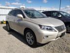 2013 LEXUS  RX350