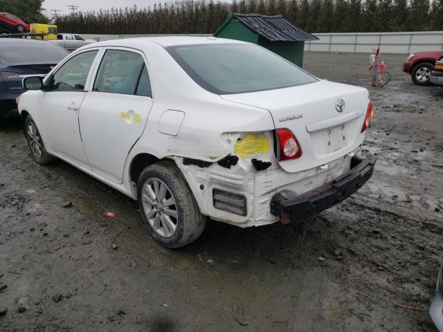 2010 TOYOTA COROLLA BA - 2T1BU4EE5AC194556
