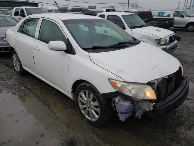 2010 TOYOTA COROLLA BA - 2T1BU4EE5AC194556