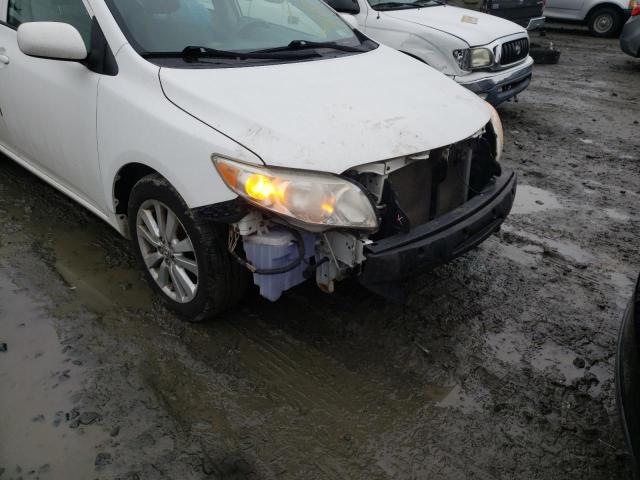 2010 TOYOTA COROLLA BA - 2T1BU4EE5AC194556