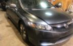 2009 HONDA  CIVIC