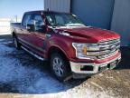 2019 FORD  F-150