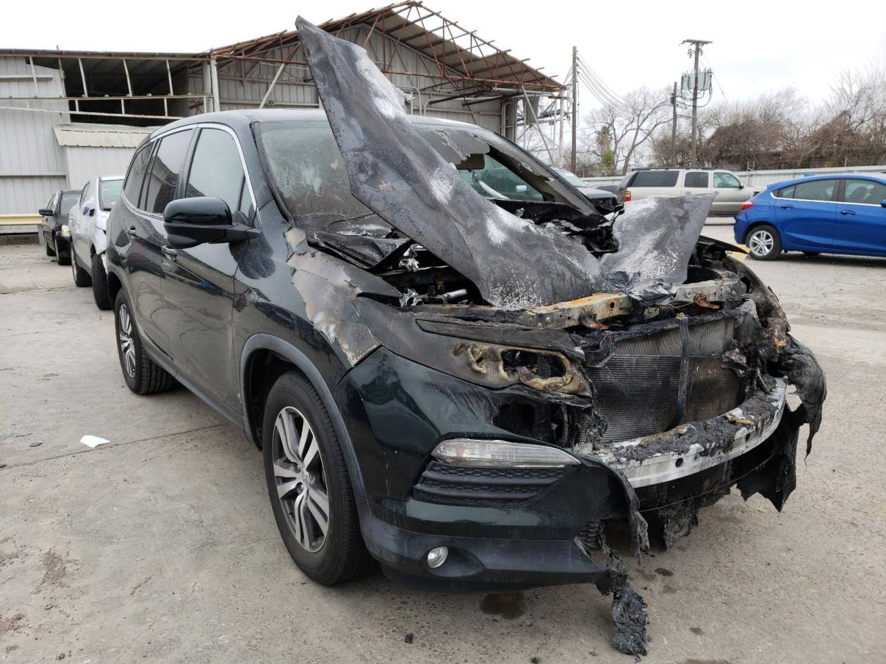 5FNYF5H83GB033918 HONDA PILOT 2016