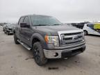 2014 FORD  F-150