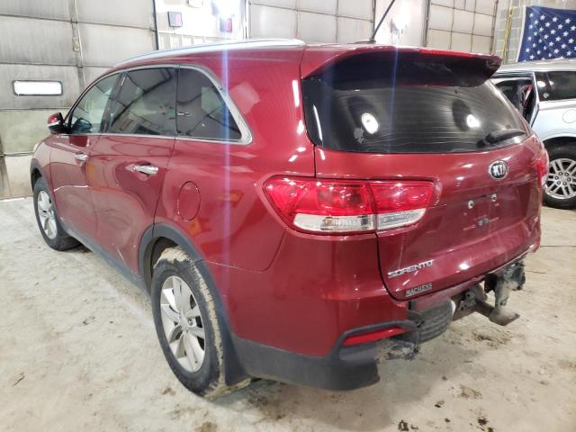 5XYPGDA36HG230450 Kia Sorento Lx 2017. Фото: 2